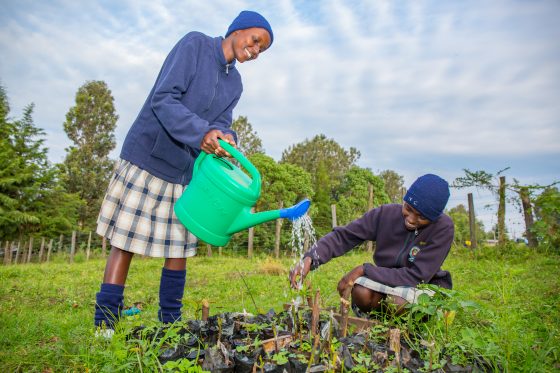 Counties rise to climate challenge by enacting laws that shape local climate solutions