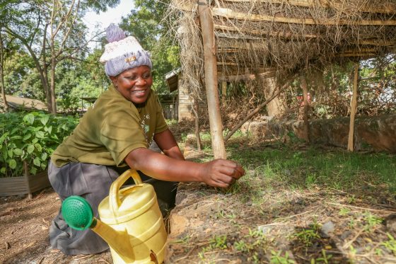 Equity and Social Justice Through Devolved Climate Action: Community-led Adaptation in Kenya