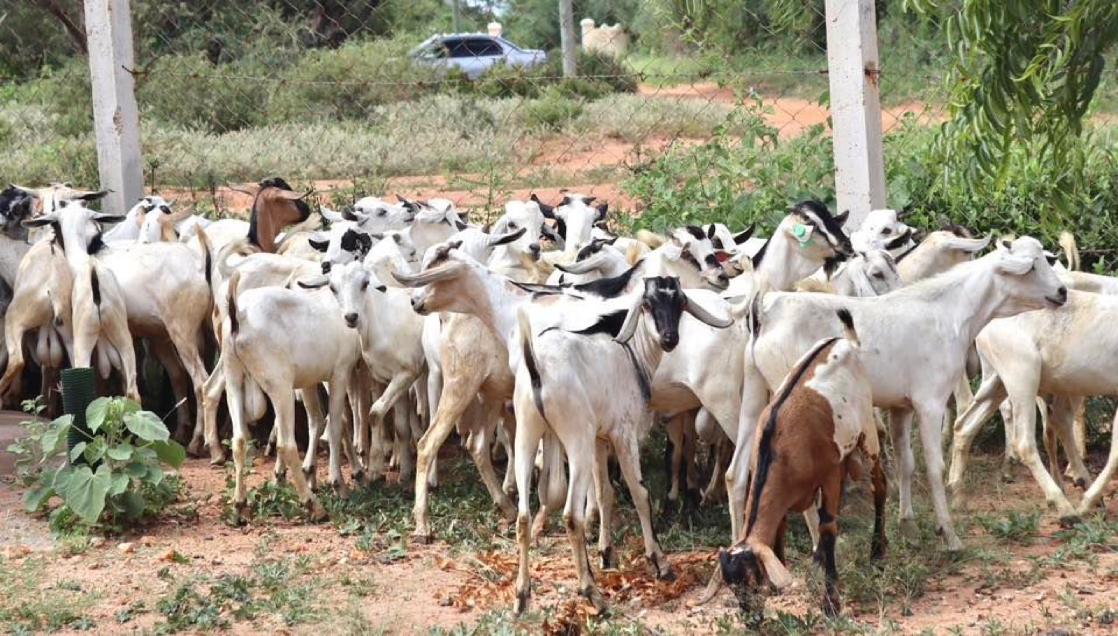 Kitui County