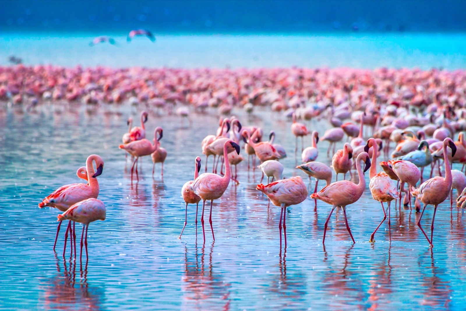 Nakuru County