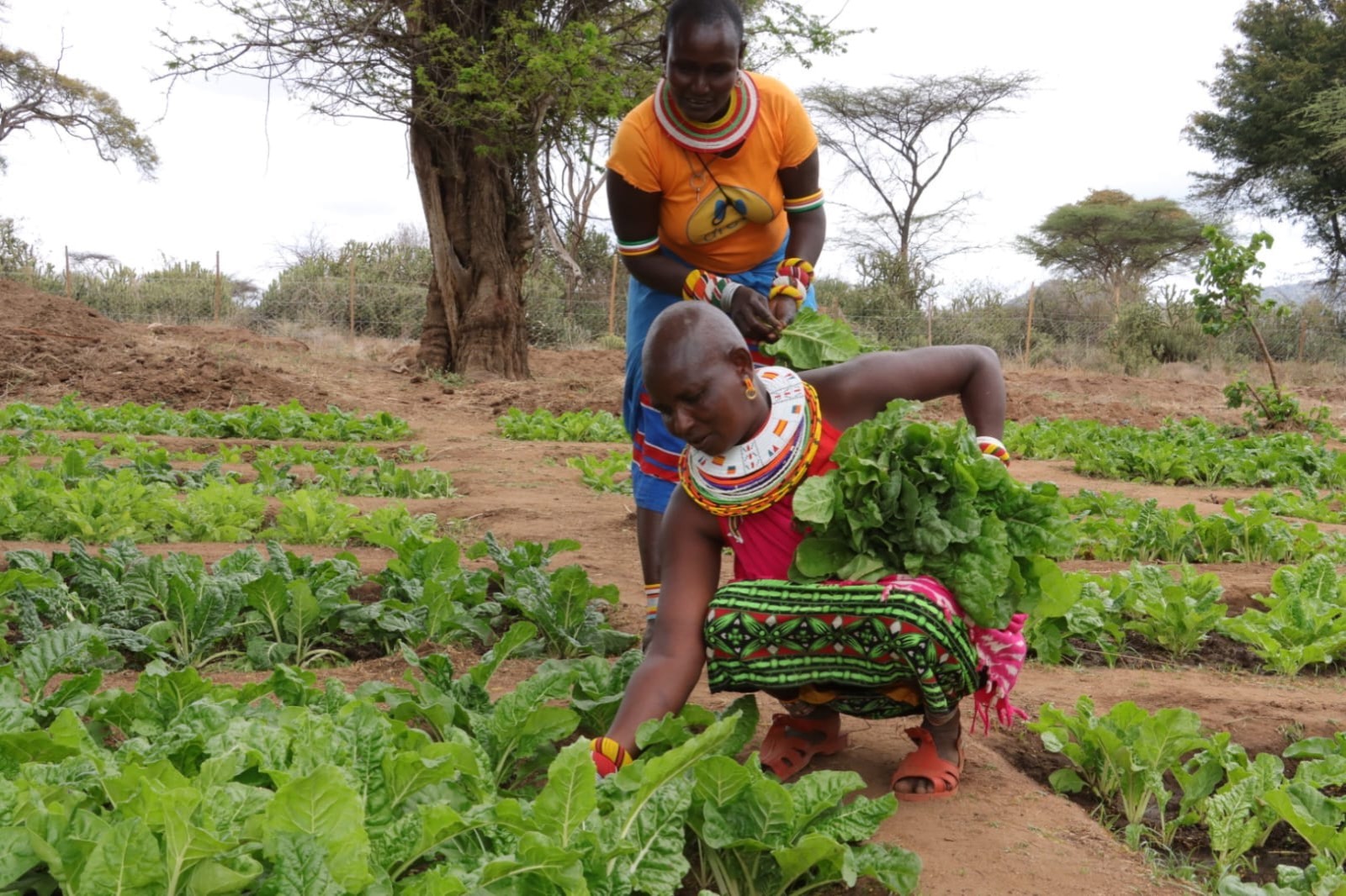 Samburu County